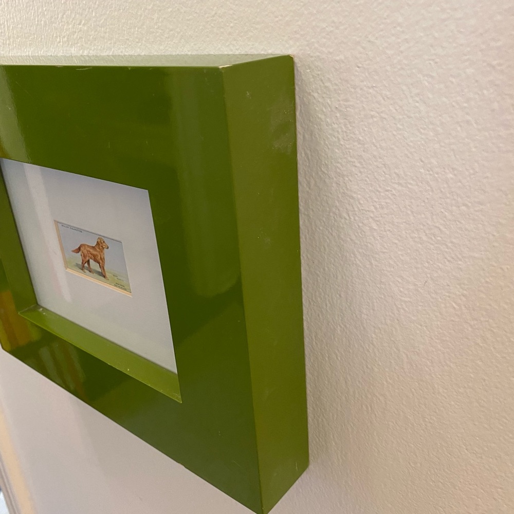 Golden retriever print framed in big green frame - Picture 2 of 5